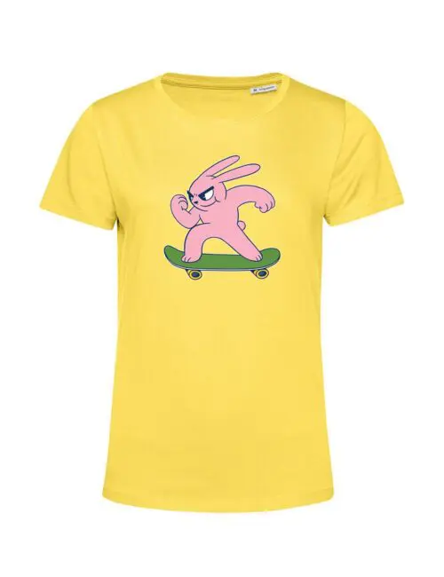 homepage 54 skater bunny